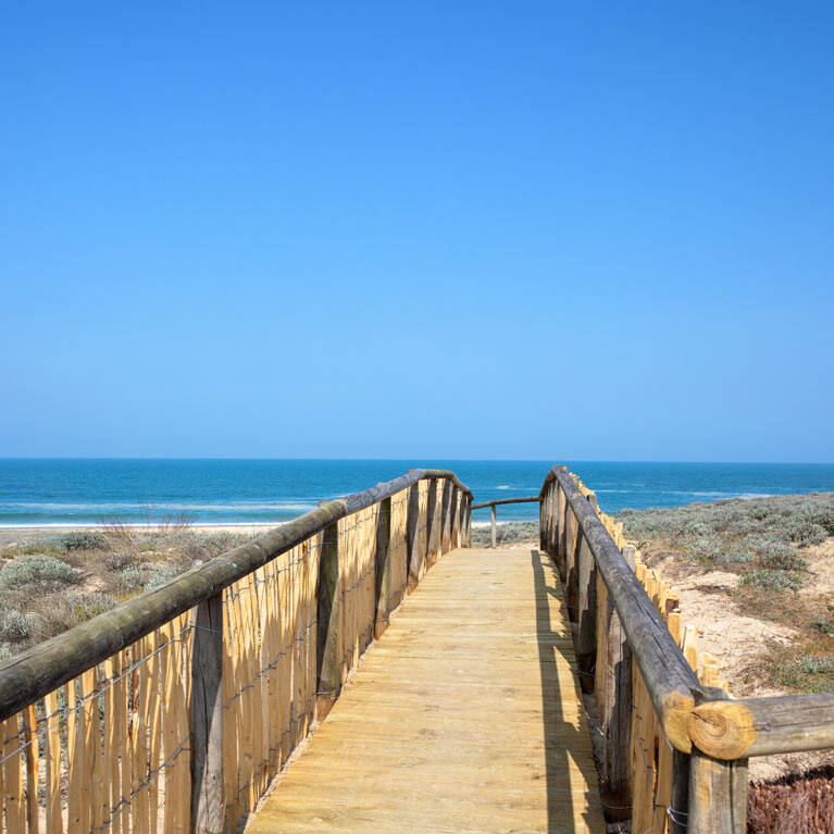 Camping Hossegor